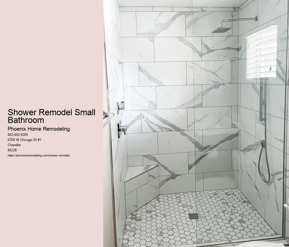 Shower Remodel Small Bathroom